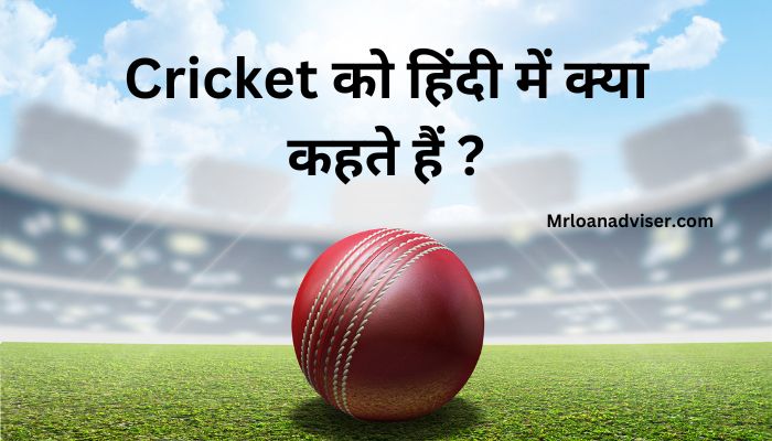 Cricket ko Hindi mein kya Kahate Hain