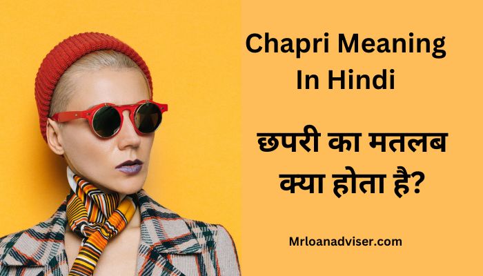 Chapri Ka Matlab In Hindi – छपरी का मतलब क्या होता है?